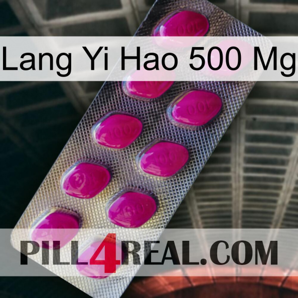 Lang Yi Hao 500 Mg 09.jpg